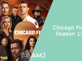 Chicago Fire Season 13