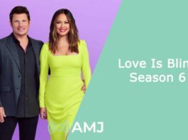 Love Is Blind Season 6