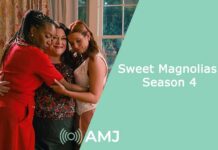Sweet Magnolias Season 4