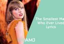 The Smallest Man Who Ever Lived Lyrics: Unveiling Taylor Swift’s Scathing Anthem The Smallest Man Who Ever Lived Lyrics