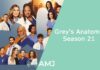 Grey’s Anatomy Season 21: A New Chapter Begins Grey's Anatomy Season 21