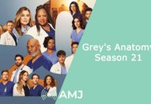Grey’s Anatomy Season 21: A New Chapter Begins Grey's Anatomy Season 21