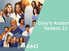 Grey's Anatomy Season 21