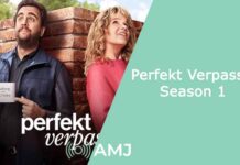 Perfekt Verpasst Season 1