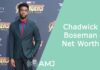 Chadwick Boseman Net Worth