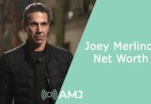 joey merlino net worth