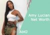 Amy Luciani Net Worth