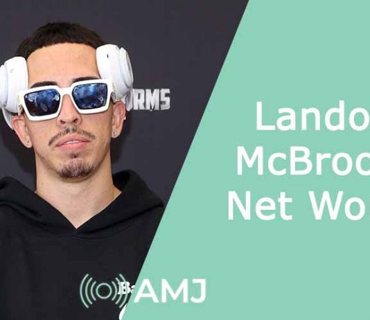 Landon McBroom Net Worth