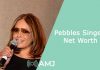 Pebbles Singer Net Worth