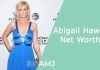 Abigail Hawk Net Worth