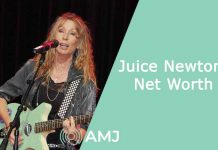Juice Newton Net Worth