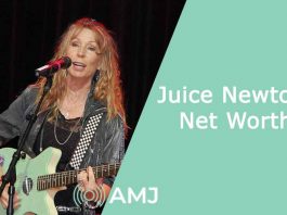 Juice Newton Net Worth