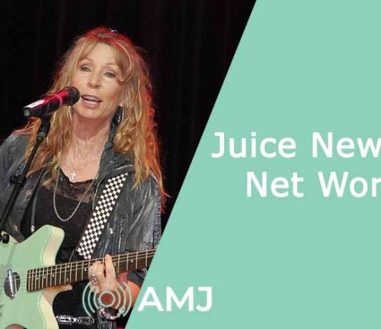 Juice Newton Net Worth