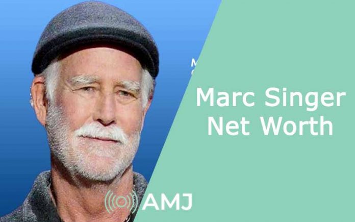 Marc Singer Net Worth