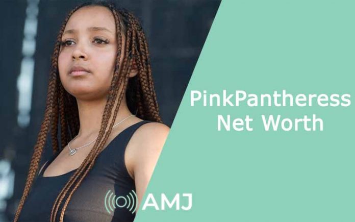 PinkPantheress Net Worth