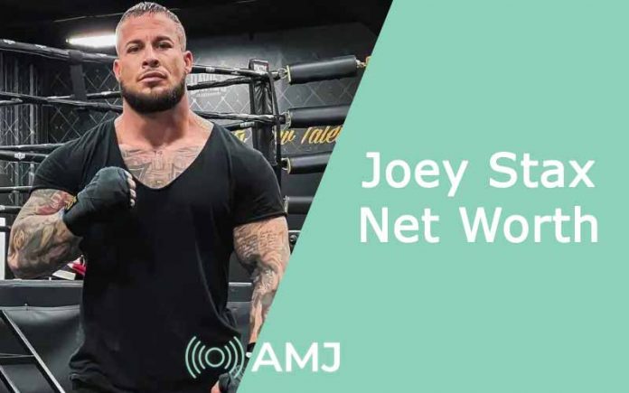Joey Stax Net Worth