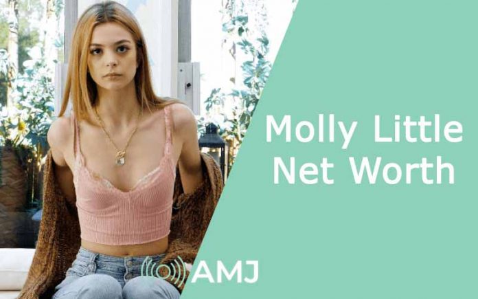Molly Little Net Worth