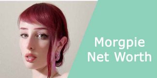 Morgpie Net Worth