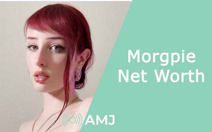 Morgpie Net Worth