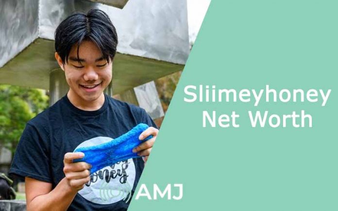 Sliimeyhoney Net Worth