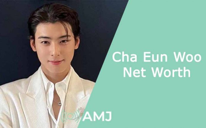 cha eun woo net worth