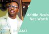 Andile Ncube Net Worth 2025: Learning About the Wealth of the Award-Winning Host andile ncube net worth