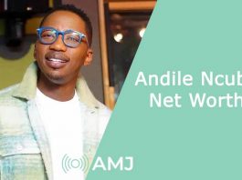 andile ncube net worth
