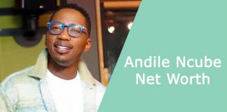 andile ncube net worth