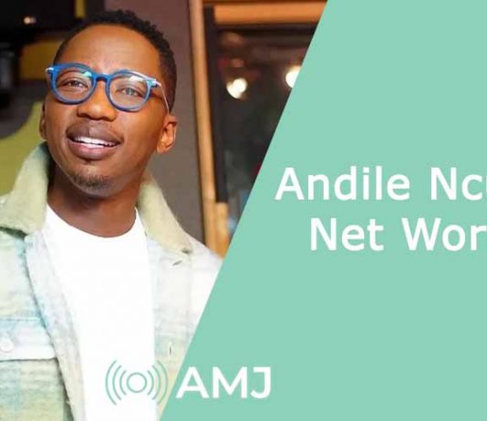 andile ncube net worth