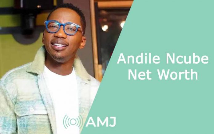 andile ncube net worth