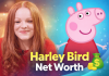 Harley Bird Net Worth